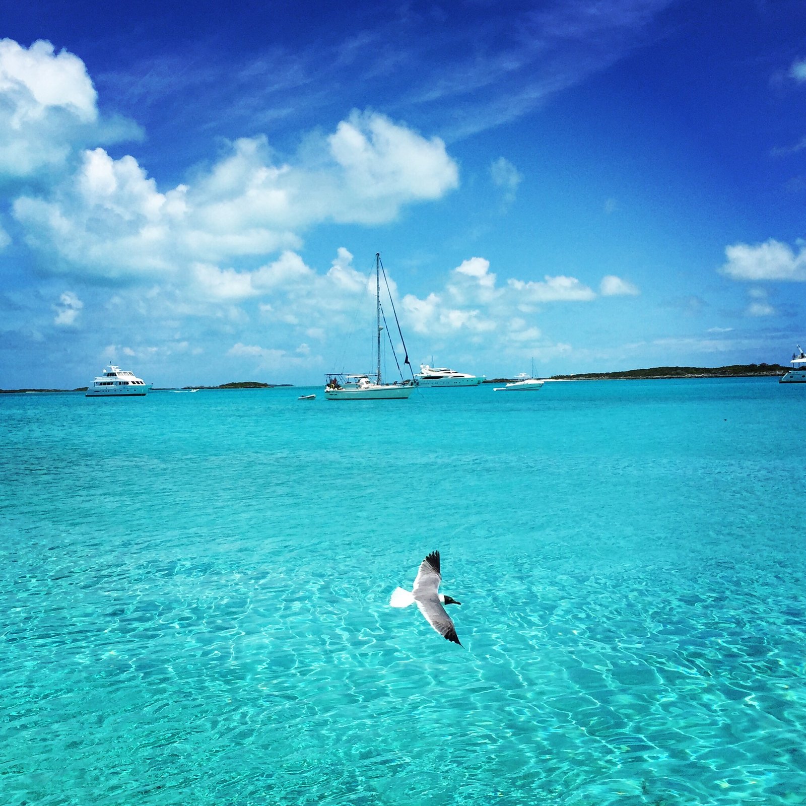 scenic-view-sea-against-sky